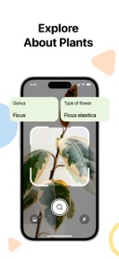 Lens - Photo Scan, Identifier screenshot