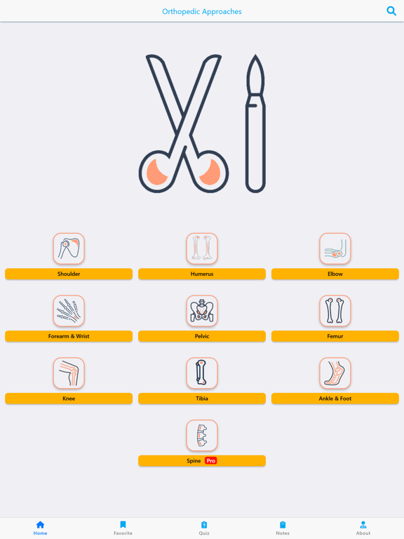 Orthopedic Approaches Lite iPad screenshot 1 - Medical app