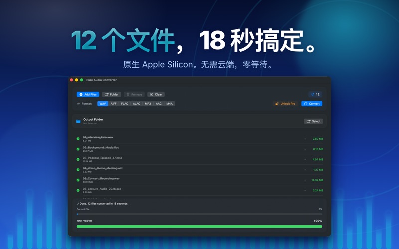 Pure Audio Converter screenshot