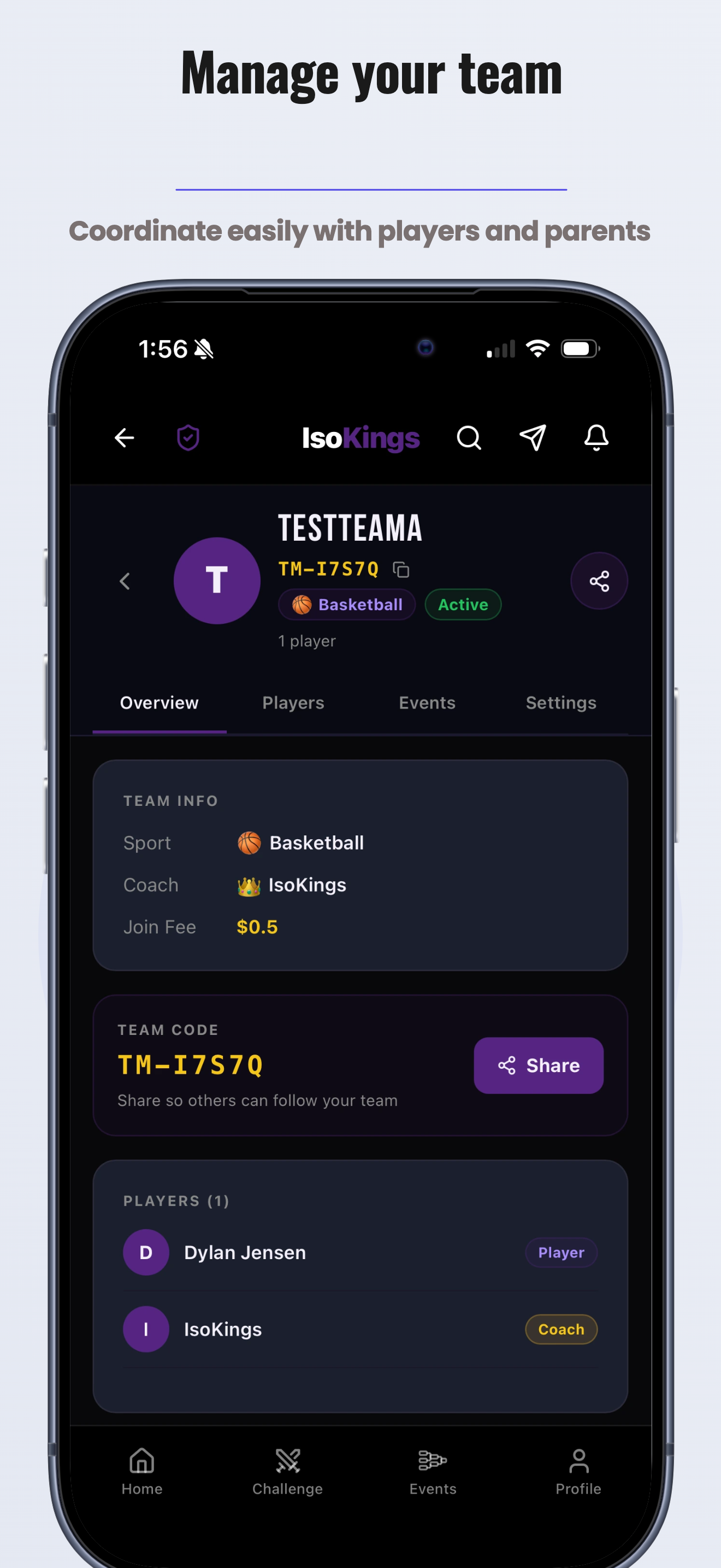 IsoKings screenshot 3