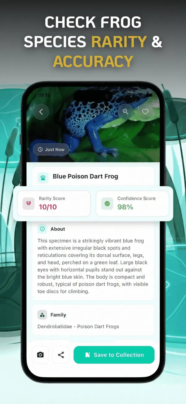 #1. Frog Identifier : Toad Scanner (iOS) Ved: BASAK GEDIK