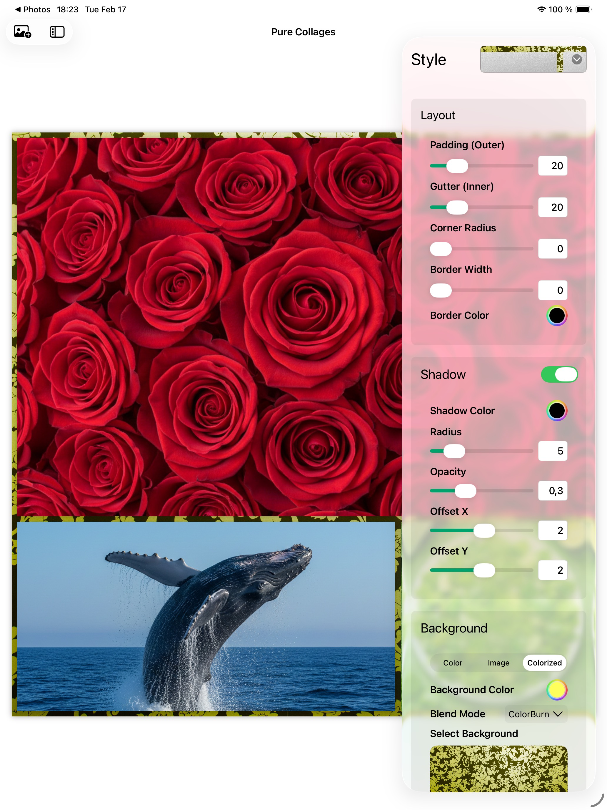 Pure Collages screenshot 11