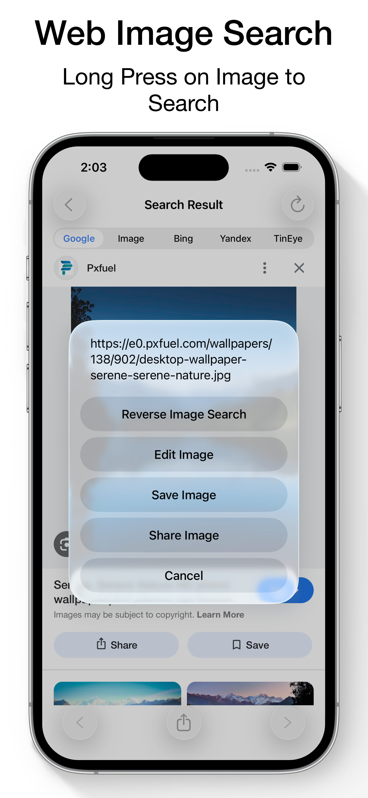 Reverse Image Search & AI Lens screenshot 3