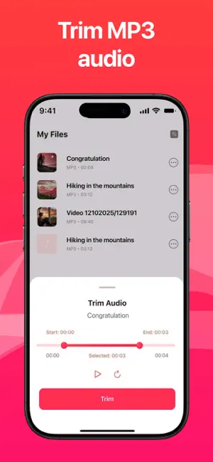 Audio Converter: Video to MP3ㅤ iPhone screenshot 2