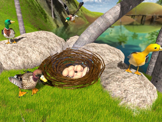 Flying Duck Life Simulator iPad screenshot