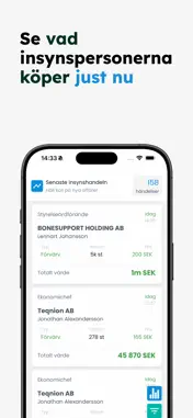 Insynskollen screenshot 1