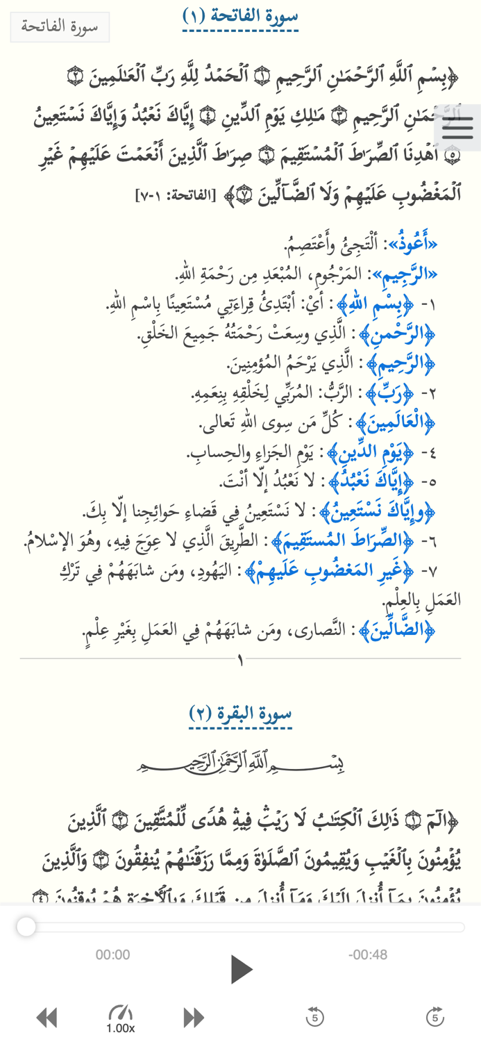 التفسير التفاعلي