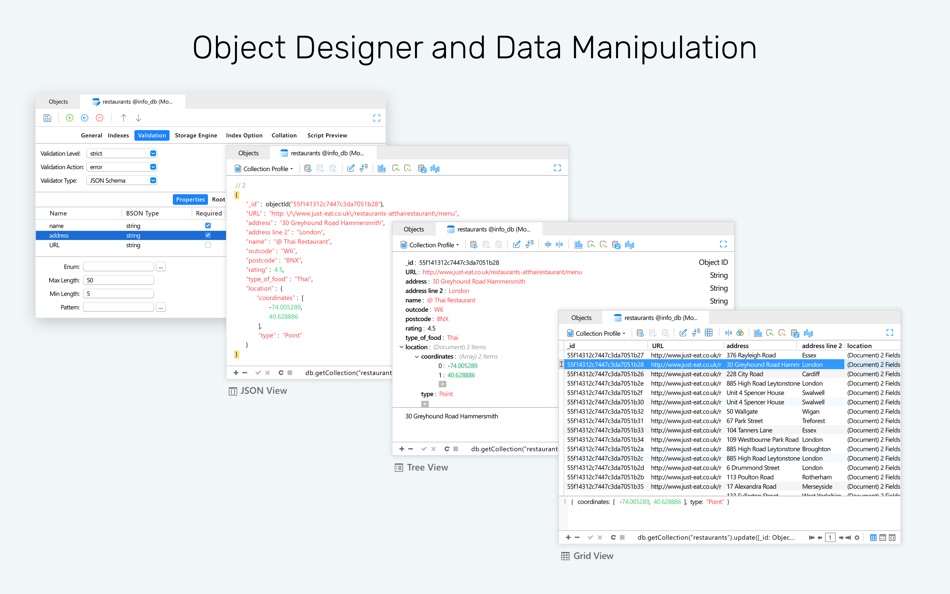 #2. Navicat 17 for MongoDB (macOS) By: PremiumSoft CyberTech Ltd.