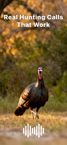 Hunting Calls: Turkey screenshot
