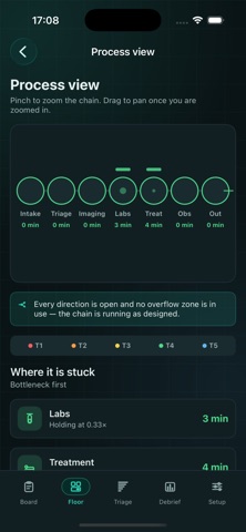 Triageload screenshot 5
