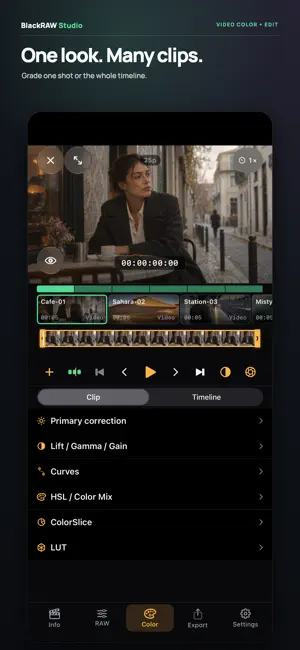 BlackRAW Studio: Color Grading screenshot 2