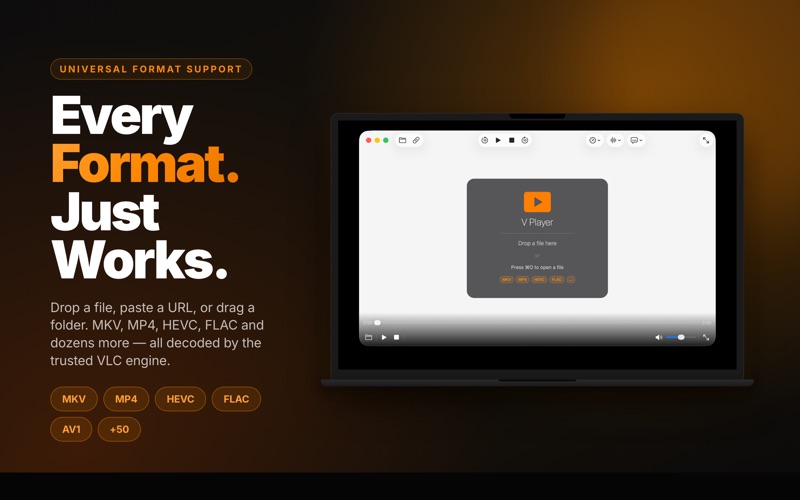 V Player: Media & Video Player iPhone screenshot
