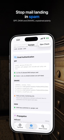 PageSpeed: Auditoría de Sitio iPhone screenshot 4