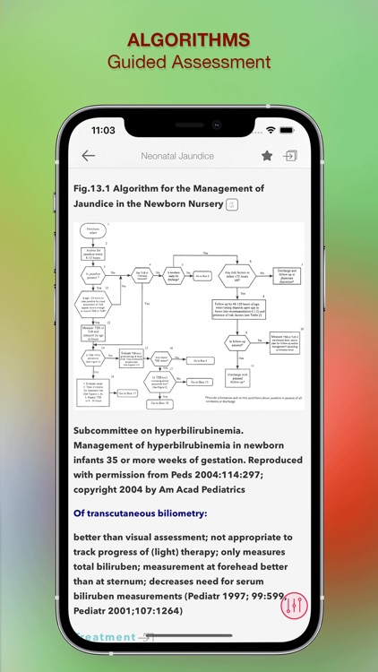 Nursing Essentials - Pkt Guide