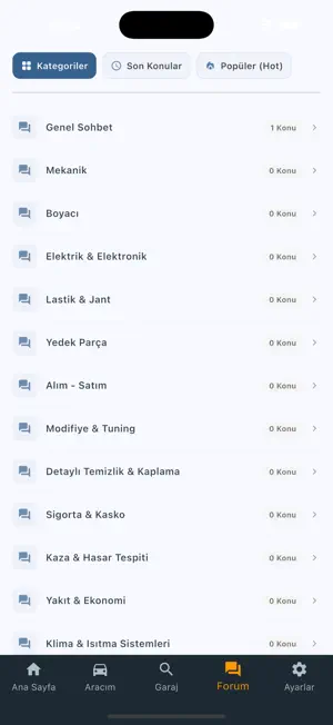 Arabam Yolda screenshot 4