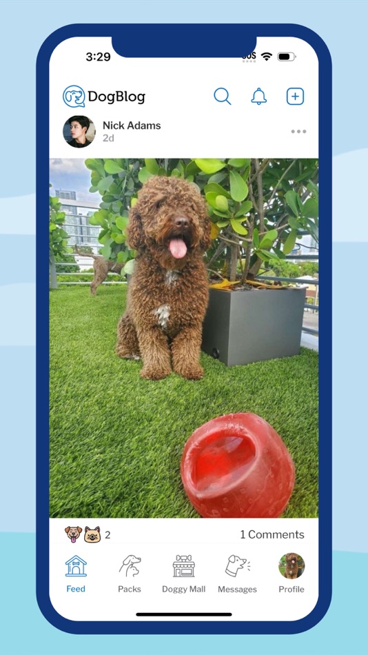 #3. DogBlog (iOS) بواسطة: The Dog Blog LLC