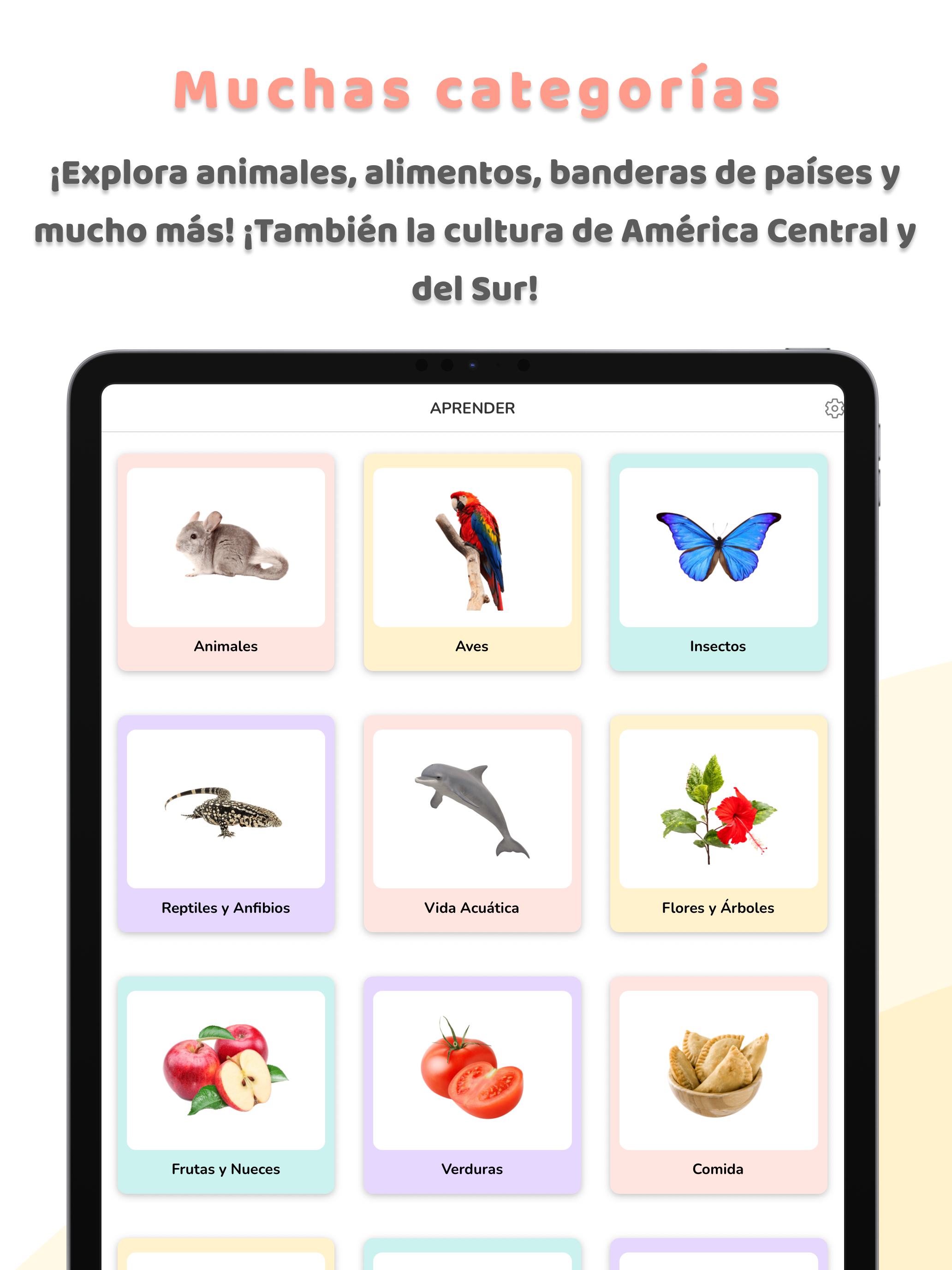 Aventuras de Palabras screenshot 11