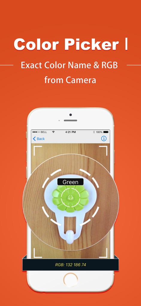 Color Detector-Identifier,Test - このツールは、デバイスのカメラを使用してライブで色を検出し、「Green」のような正確な色の名前と「RGB: 132 186 74」のような詳細なRGB値を瞬時に提供します。
