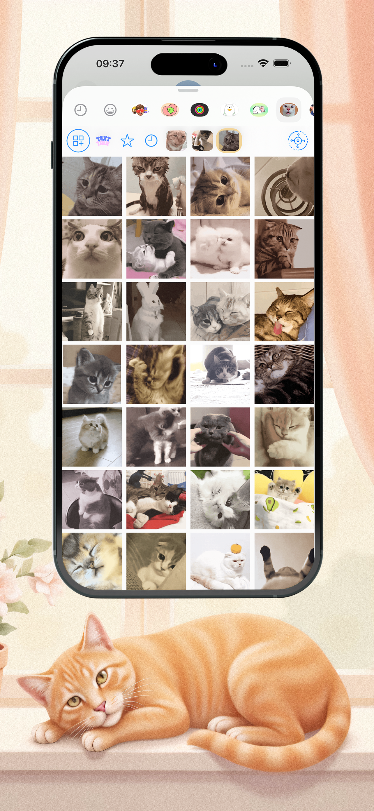 Moew Mix screenshot 3
