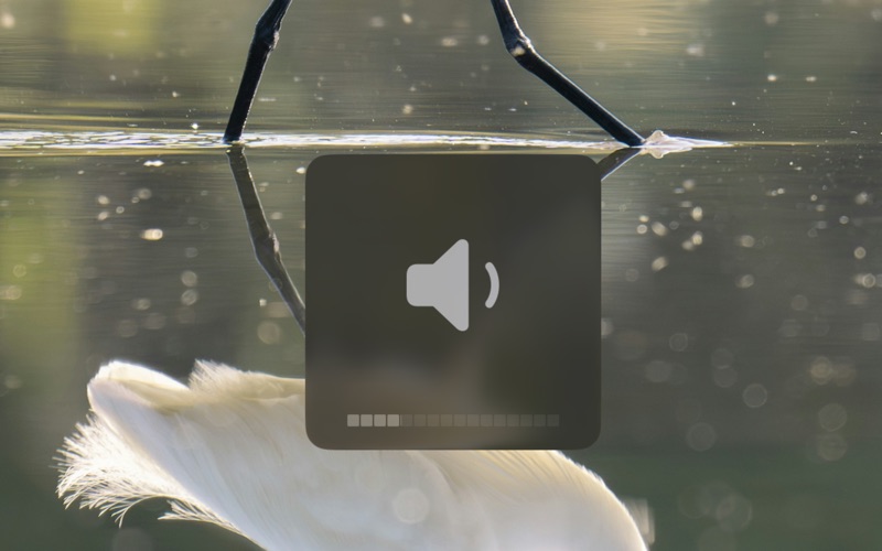 Better OSD app screenshot