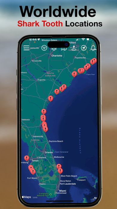 BeachBop® iPhone screenshot 3 - Education app