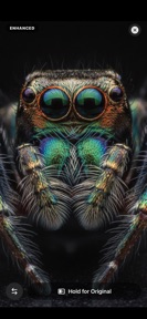 Zeus Focus Stacking screenshot