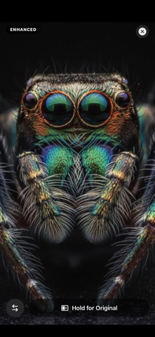 Zeus Focus Stacking Screenshot 3 of 9