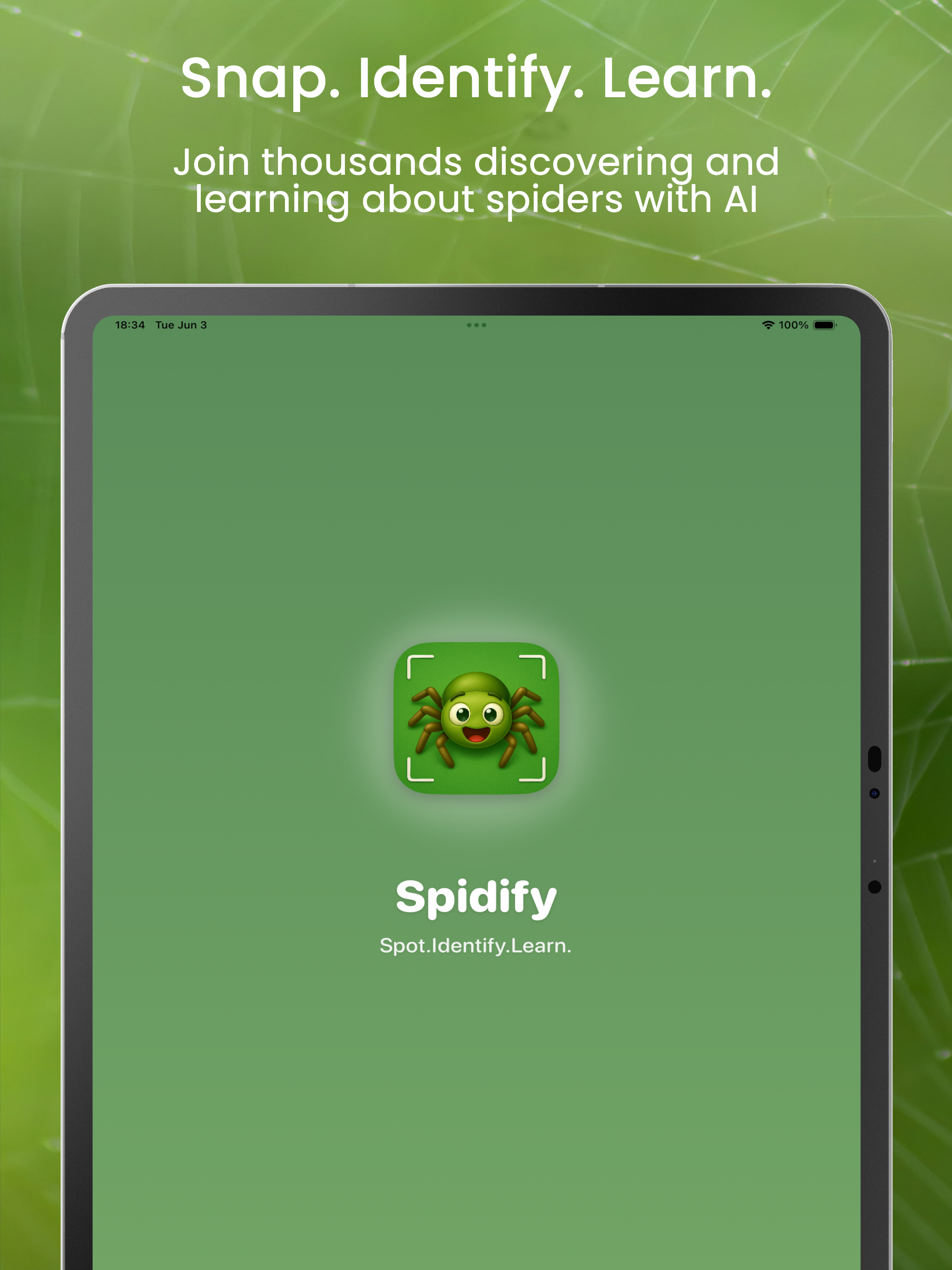 Spider Identifier - by picture