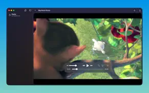 channels pro - iptv player iPhone Captures Décran 2
