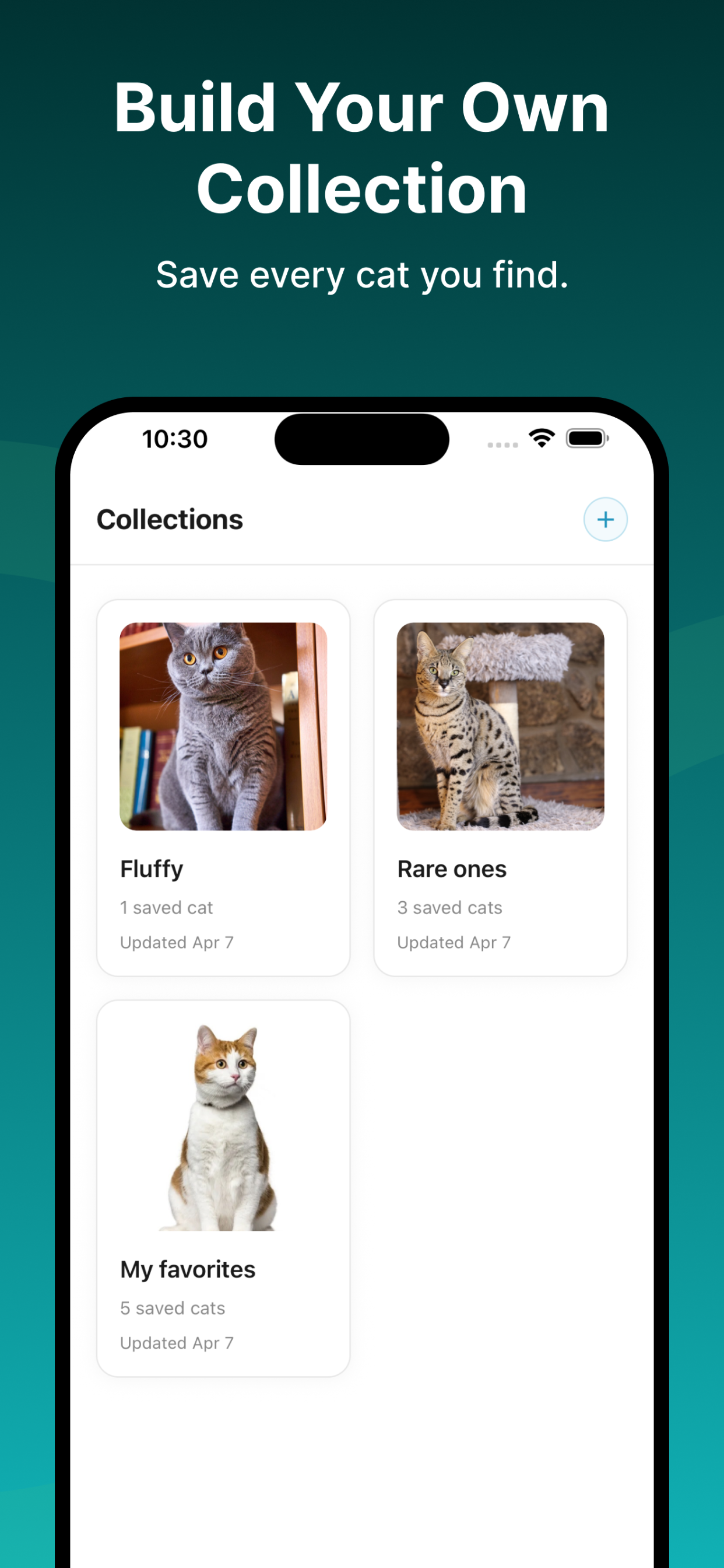 Cat Identifier & Breed Scanner