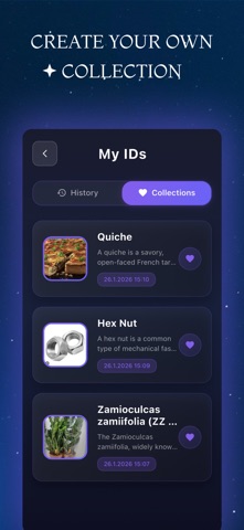 Identify Anything: What is it? Screenshot 6 of 6