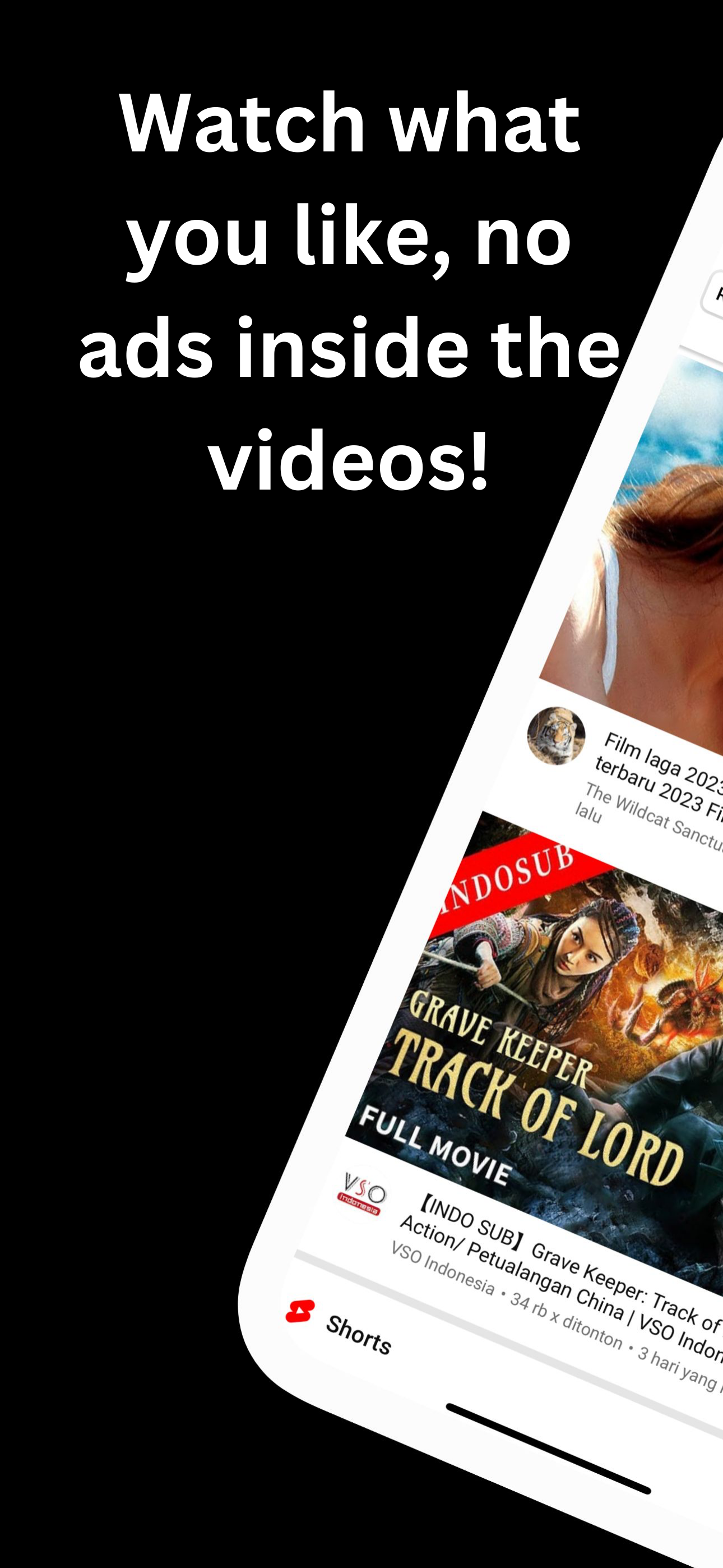 PlayNav - No ads in videos!