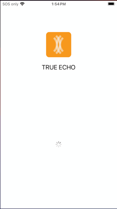 TRUE ECHO Screenshot