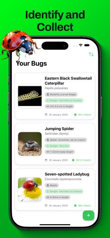 Bug Identifier - Insect ° Screenshot 4 of 5