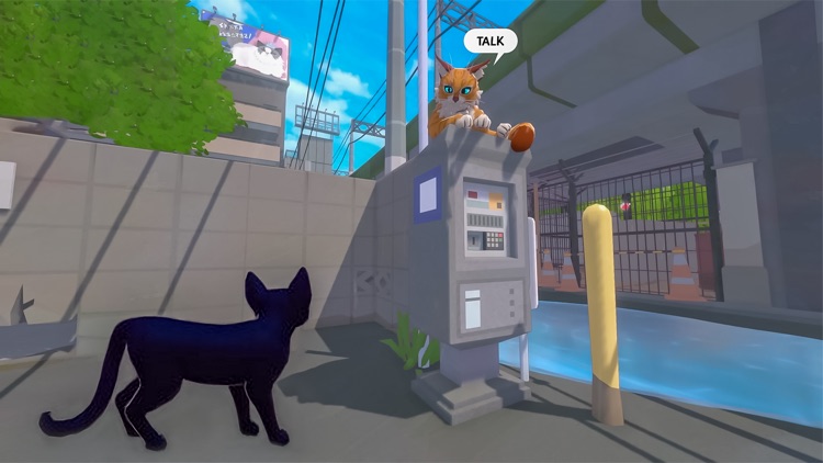 Little Kitty Cat of Big City