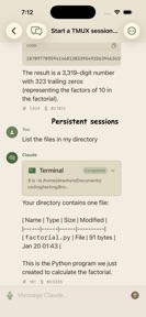 Unofficial Claude Code Client screenshot