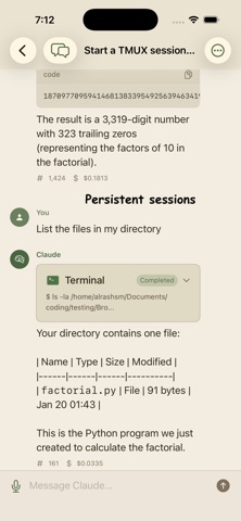 Unofficial Claude Code Client screenshot