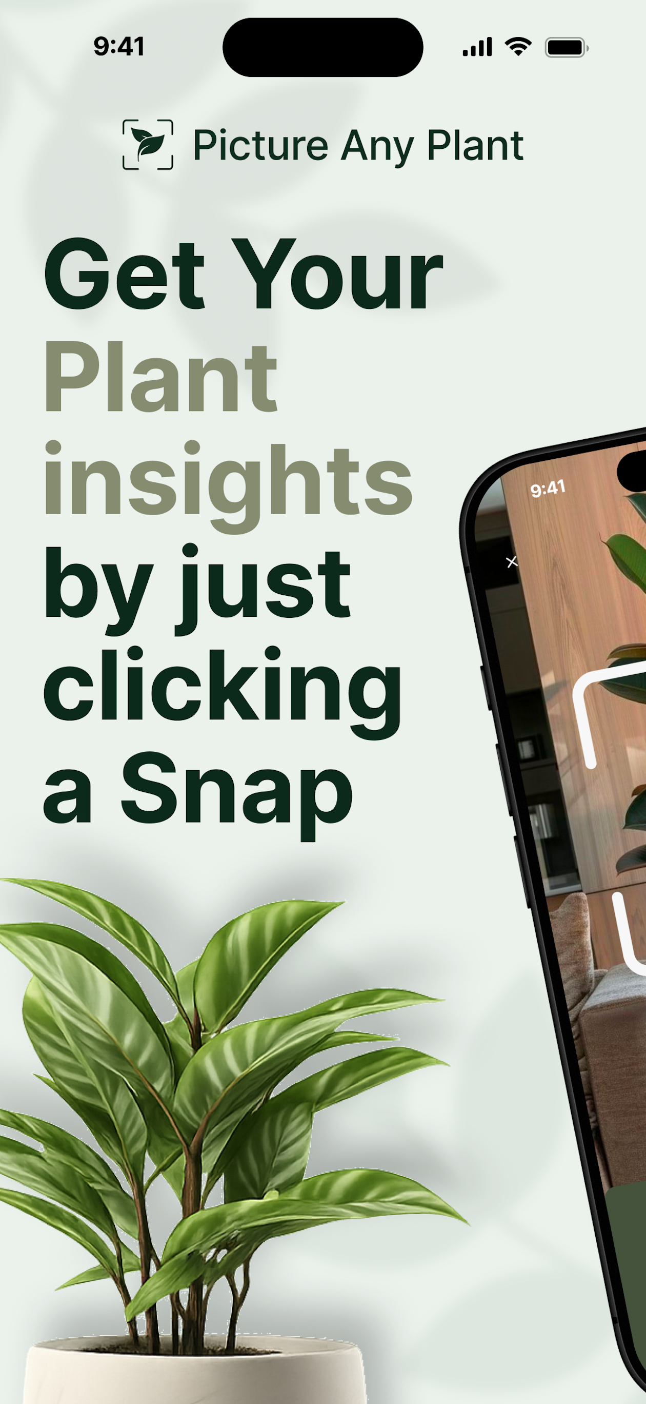 Picture Any Plant & Identify screenshot 3