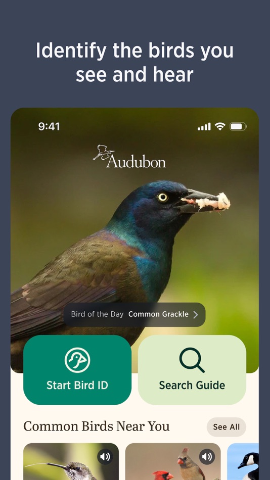 #3. Audubon Bird Guide (iOS) Podle: National Audubon Society