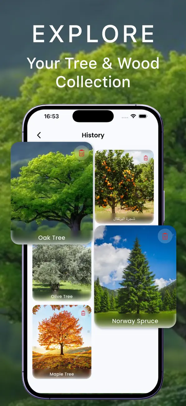 #5. Tree identifier - Ai Scanner (iOS) Ved: Reda Mezghiche