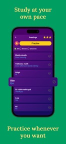 Learn Irish (Beginners) screenshot