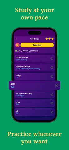 Learn Irish (Beginners) Screenshot 3 of 7