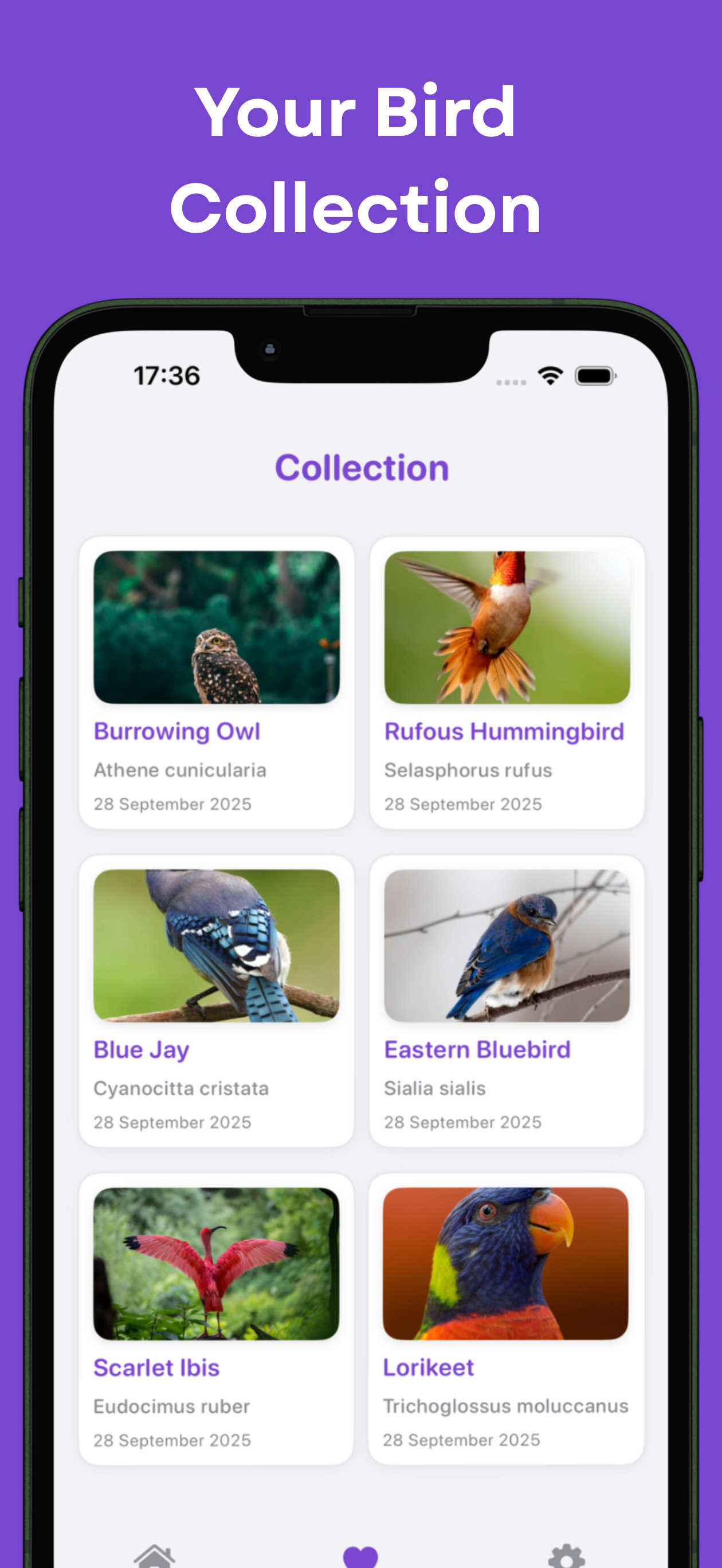 https://is1-ssl.mzstatic.com/image/thumb/PurpleSource221/v4/f3/77/e2/f377e27d-cfa6-e257-91f3-e3175de21409/3.png/1260x2736.png