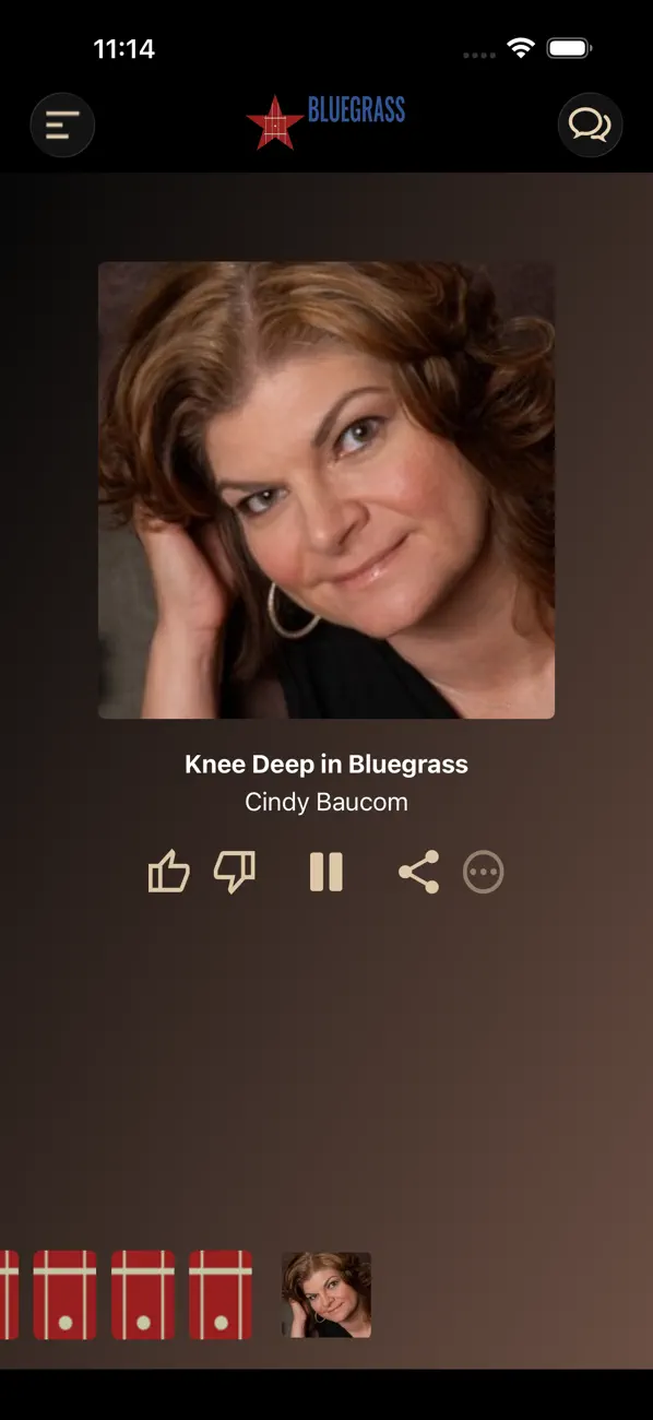 Screenshot #2 pour Bluegrass Country