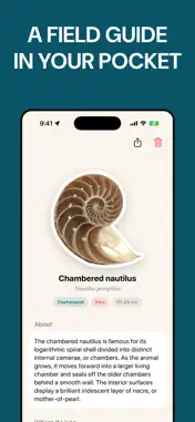 Sea Shell Identifier: ShellMap screenshot 4