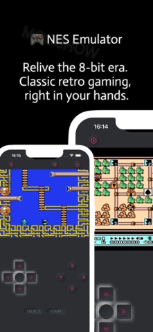 NES - Emulator Screenshot 1 of 5