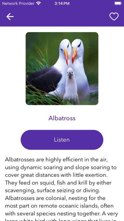 Visual English Dictionary screenshot-3