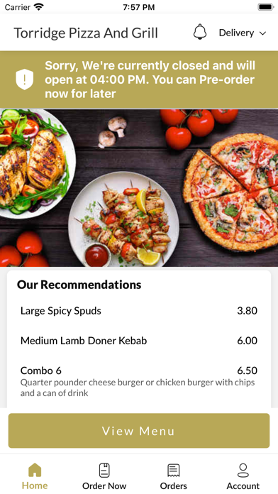 Torridge Pizza And Grill Screenshot