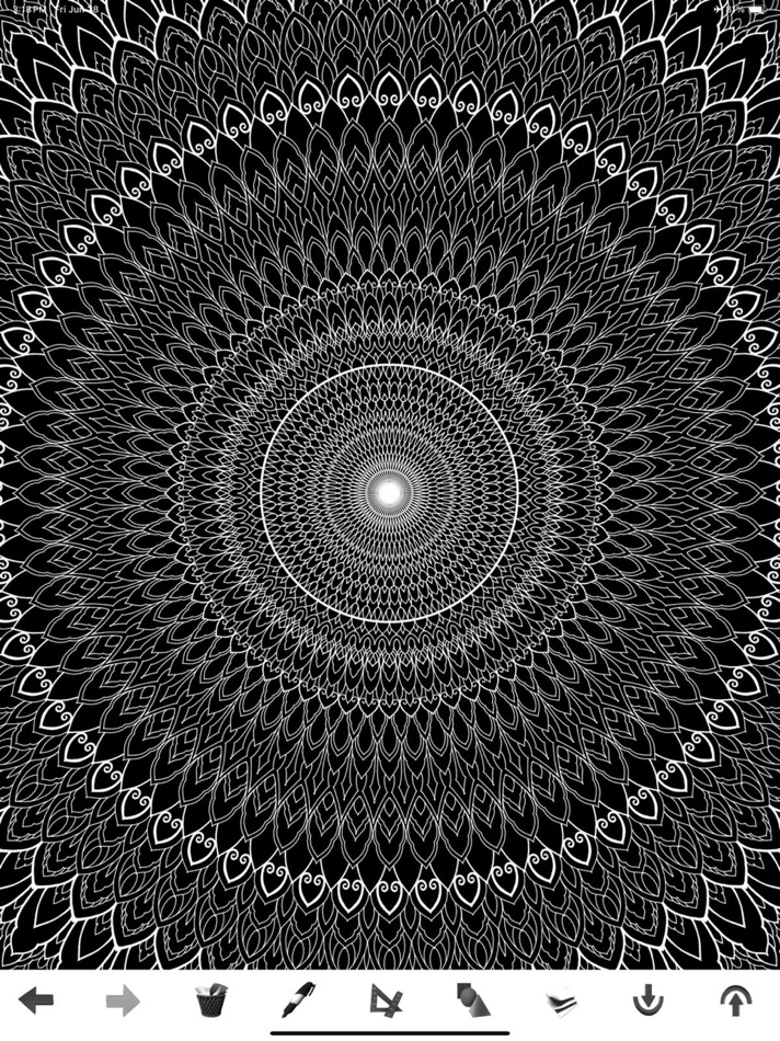 #6. Sacred Geometry Drawing App (iOS) By: Dillon Forte