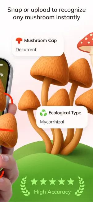 Mushroom Identifier: MushFlow screenshot 2